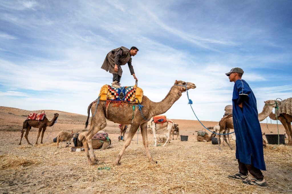 visiter-desert-agafay-maroc